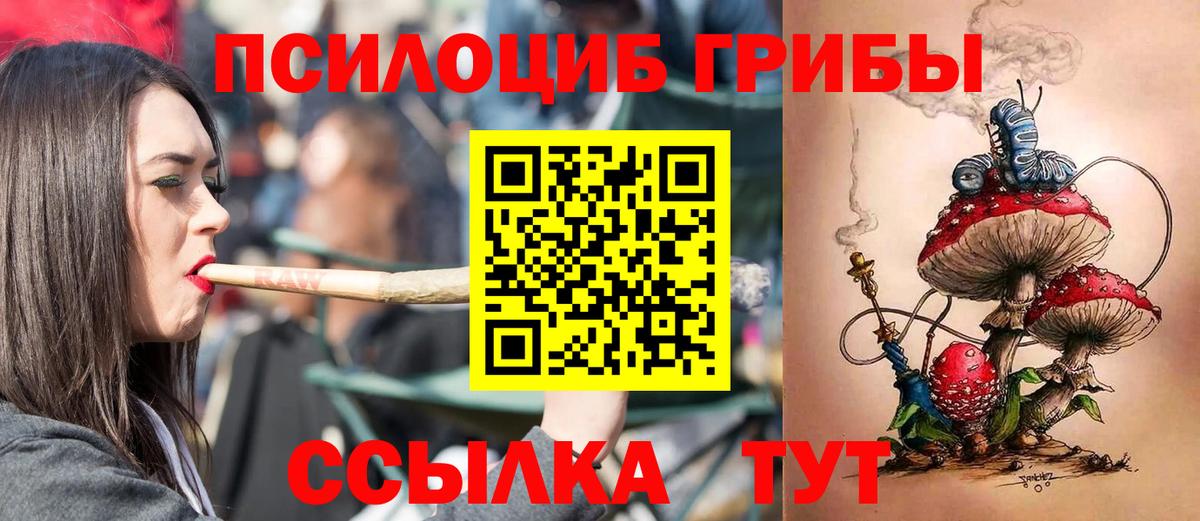 Псилоцибиновые грибы Psilocybe  Вход с VPN  Дмитров 